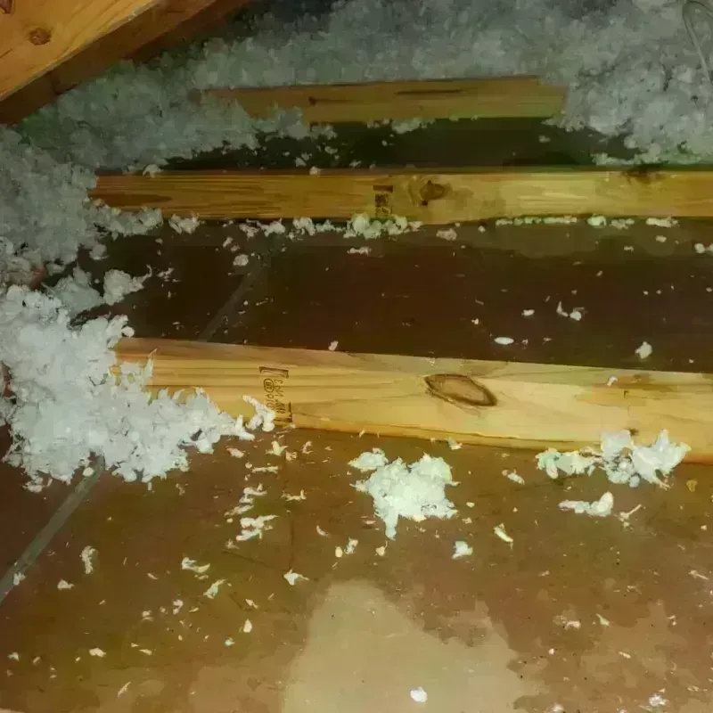 Attic Water Damage in Nicholas County, WV