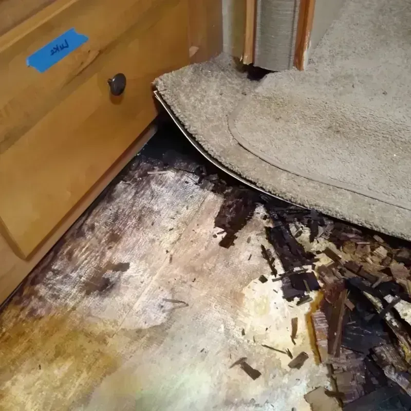 Wood Floor Water Damage in Nicholas County, WV